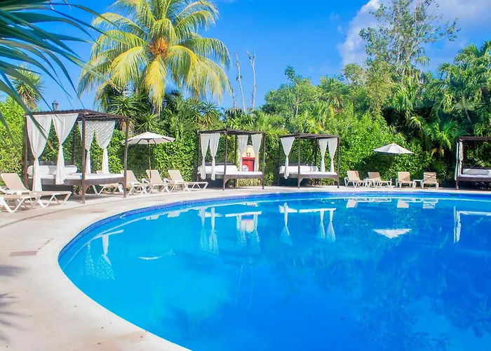 Occidental Resort 5*