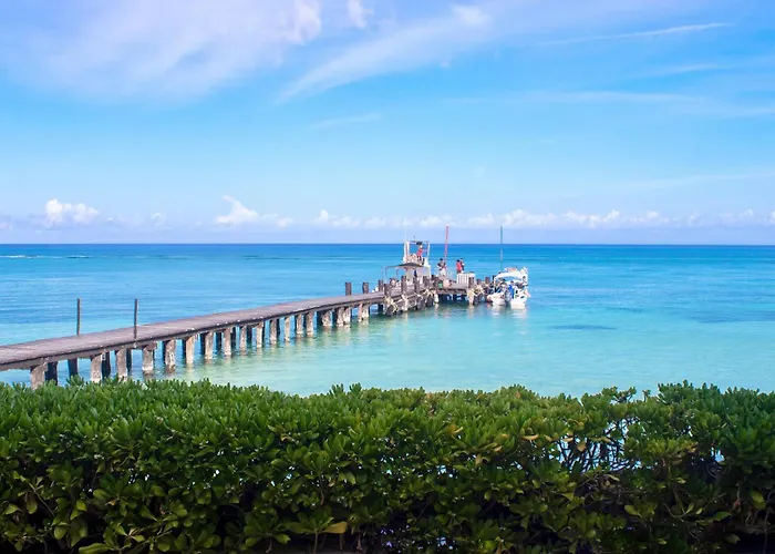 Occidental Resort Cozumel