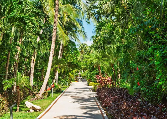 Resort Occidental