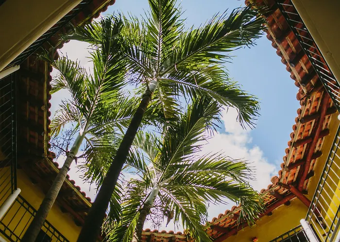 Resort Occidental